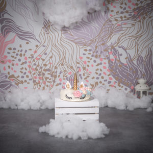 Smash the cake licorne Paris