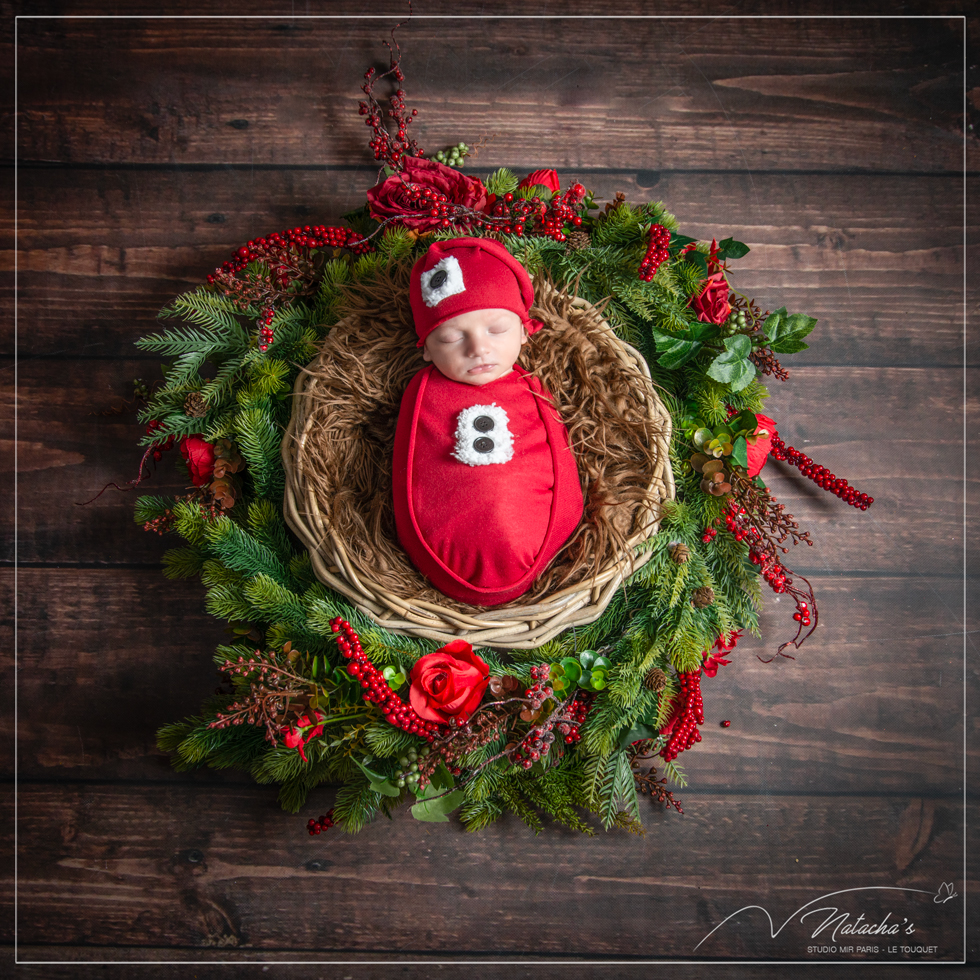 Séance naissance Noël dans le Val de Marne