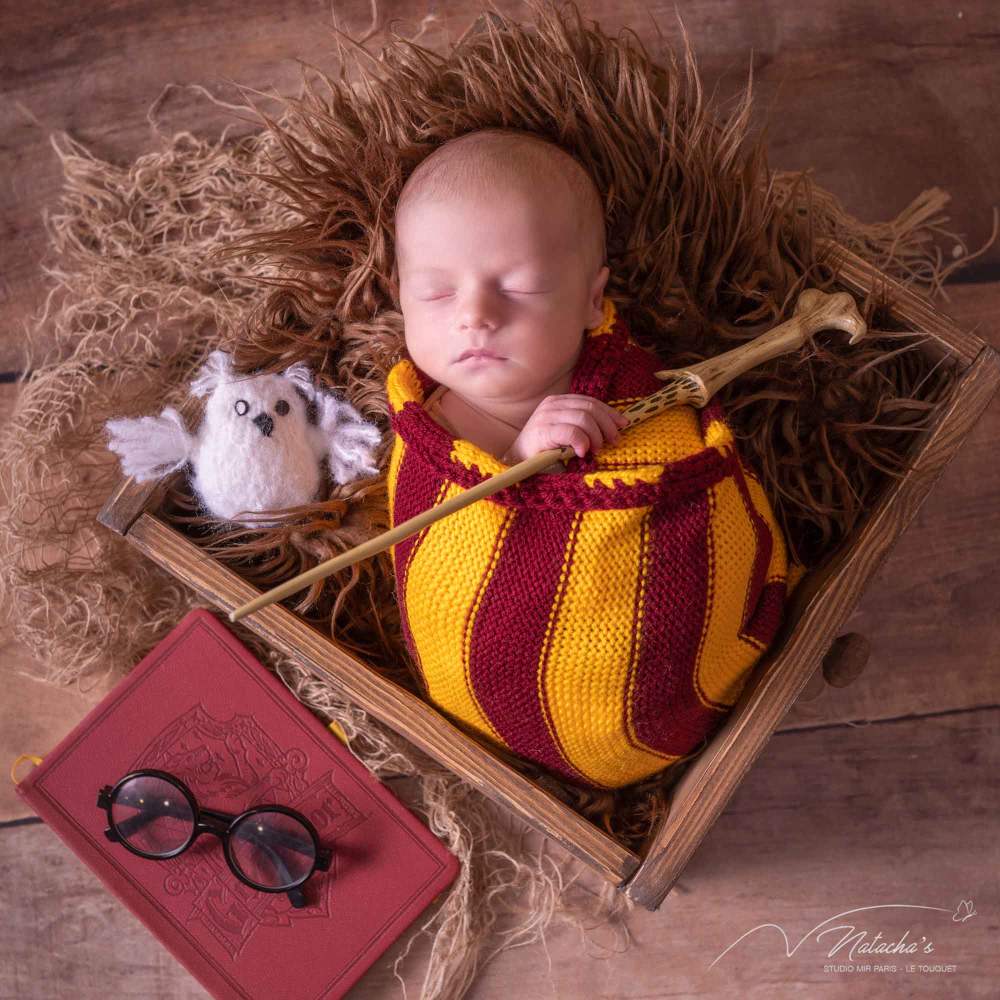 Séance photo naissance thème Harry Potter dans le 94